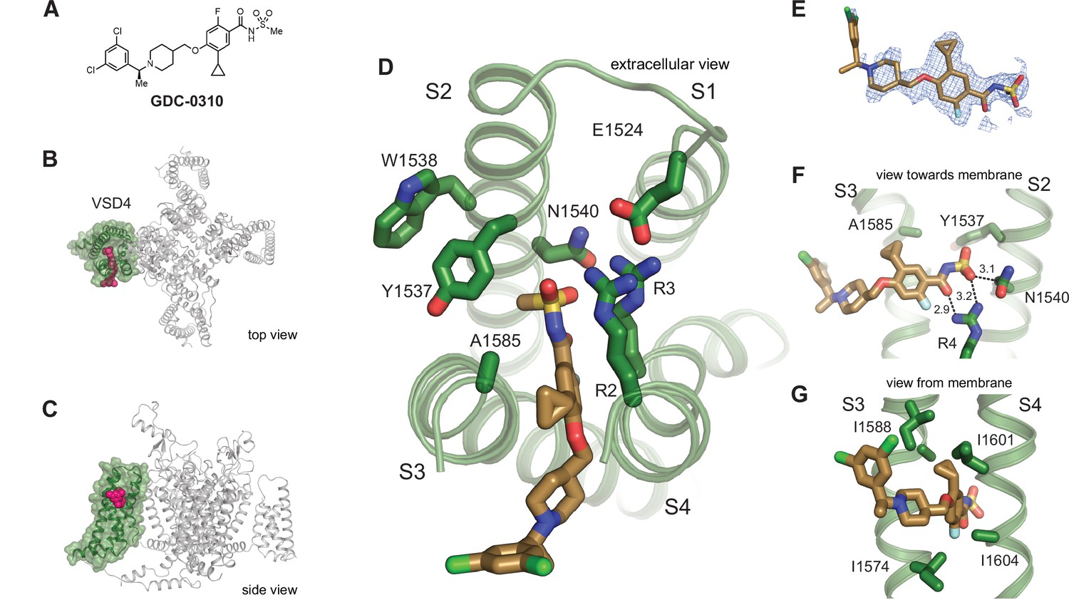 Cryo-EM reveals an unprecedented binding site for NaV1.7