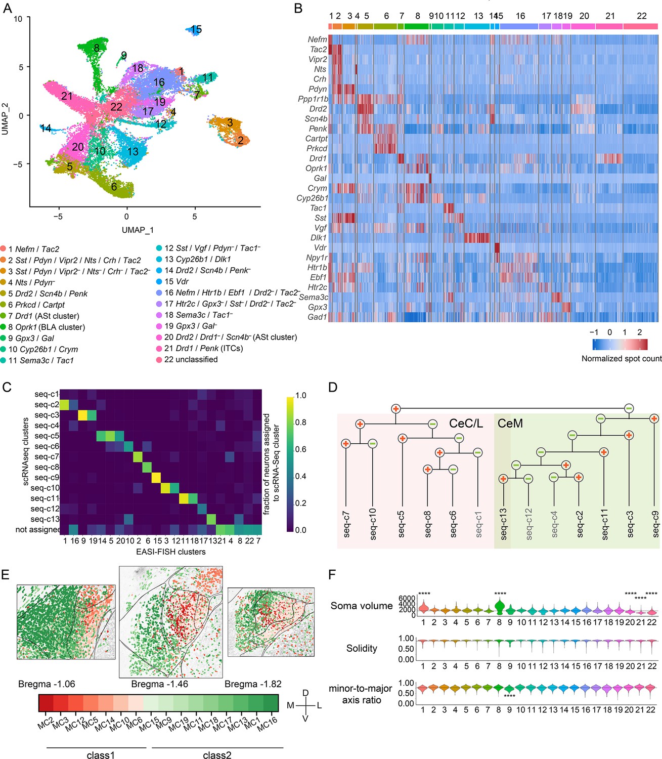 Multimodal mapping of cell types and projections in the central nucleus ...