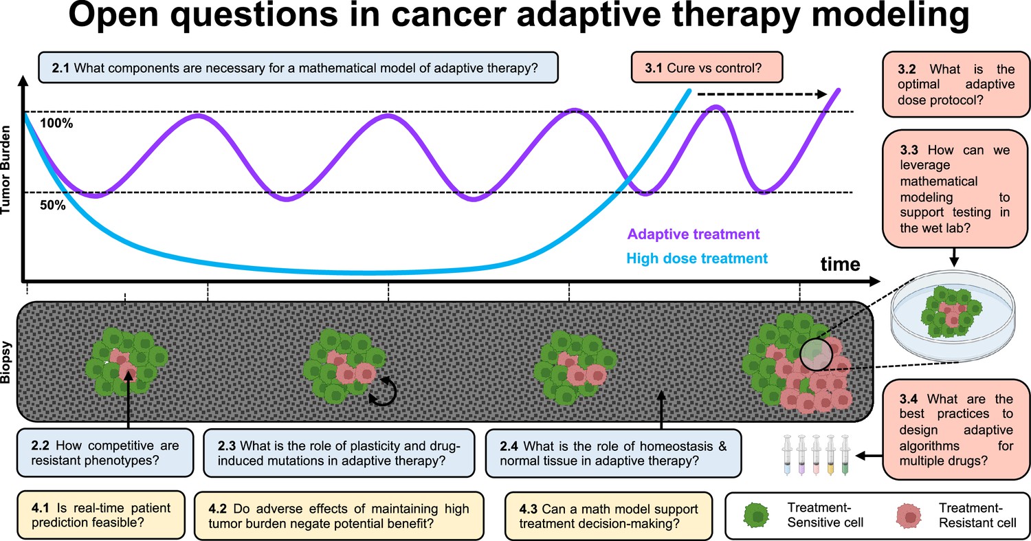 A Survey Of Open Questions In Adaptive Therapy Bridging Mathematics