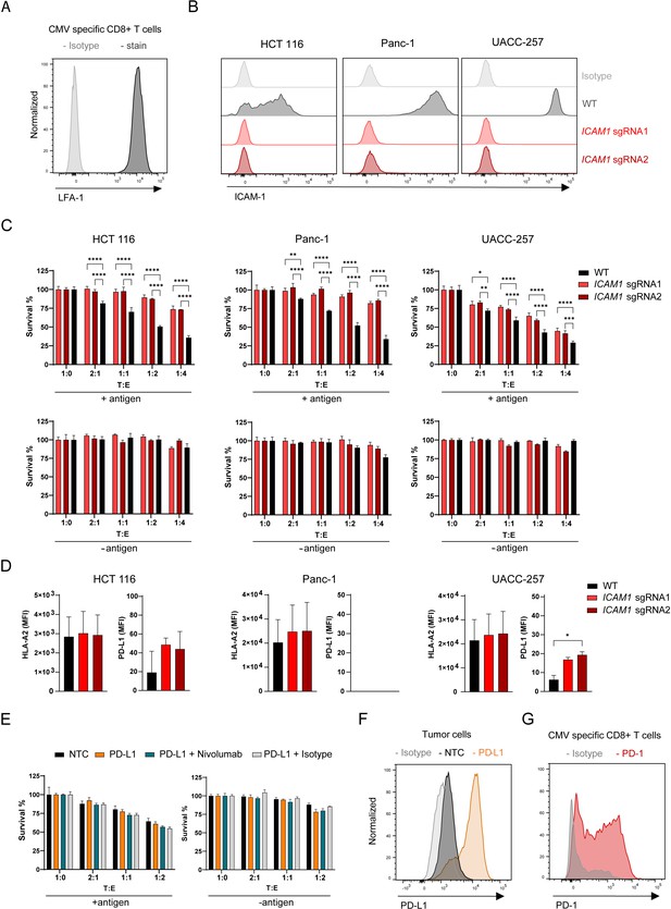 Complementary CRISPR screen highlights the contrasting role of membrane ...