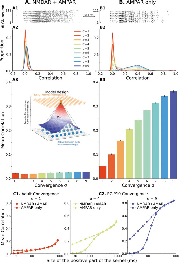 Synaptic And Circuit Mechanisms Prevent Detrimentally Precise ...