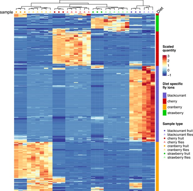 Metabolic Consequences Of Various Fruit-based Diets In A Generalist 