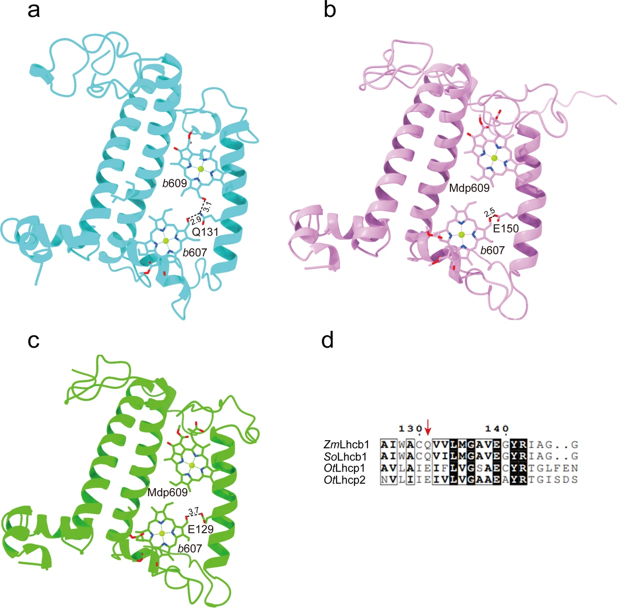 The photosystem I supercomplex from a primordial green alga Ostreococcus tauri harbors three light-harvesting complex trimers... 