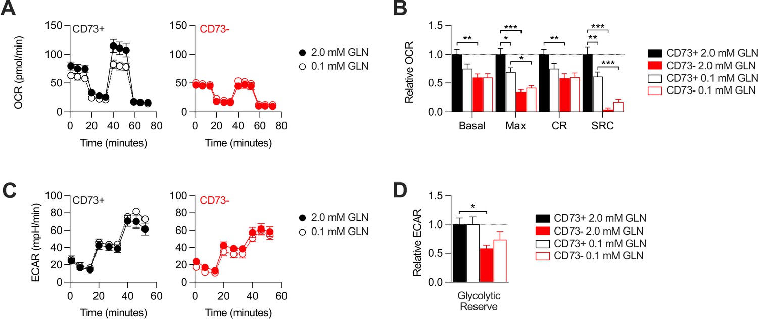 Figures And Data In The Cd73 Immune Checkpoint Promotes Tumor Cell