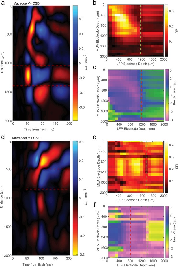 Spike Phase Coupling Patterns Reveal Laminar Identity In Primate Cortex