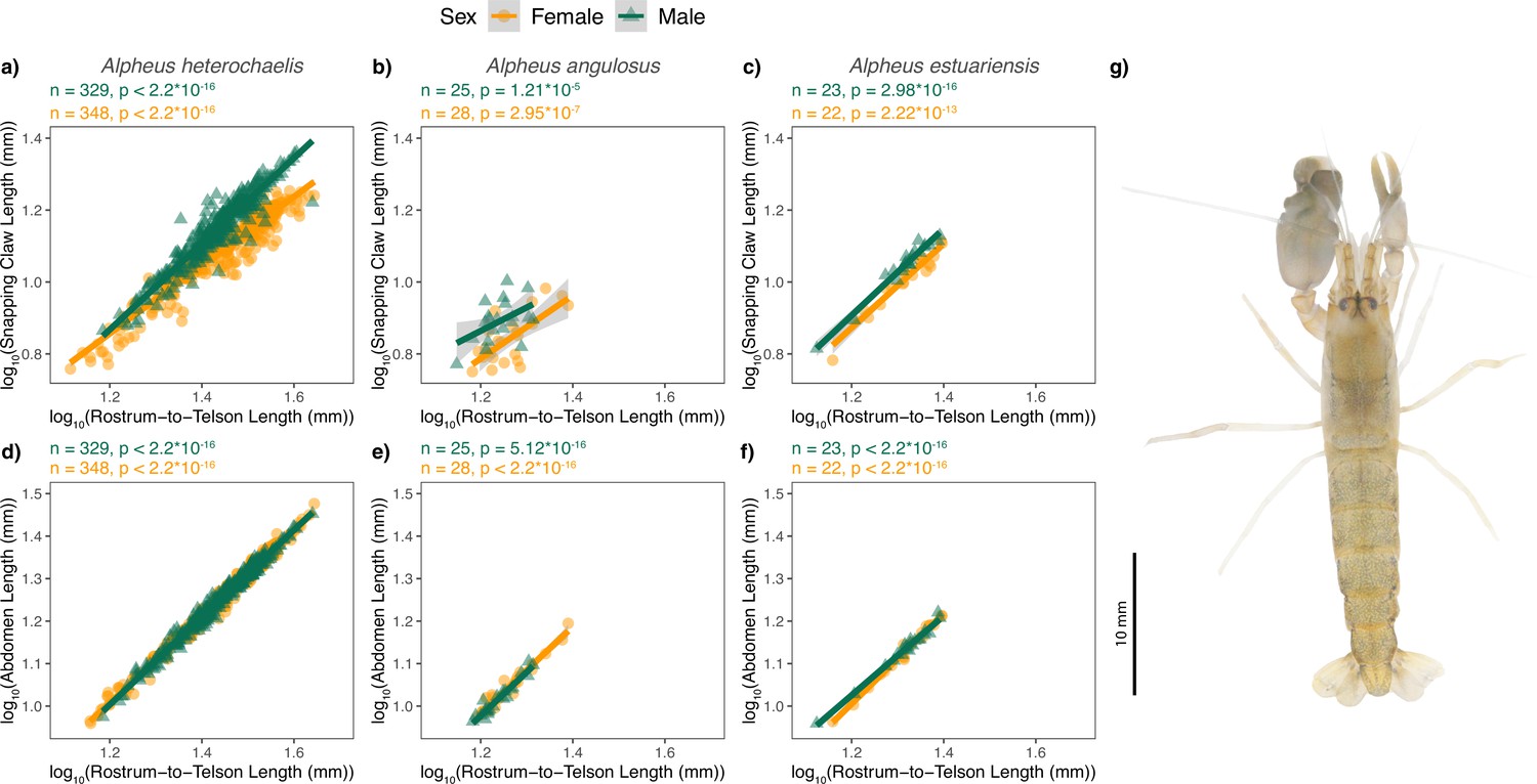 Figures And Data In Tradeoffs Explain Scaling, Sex Differences, And ...