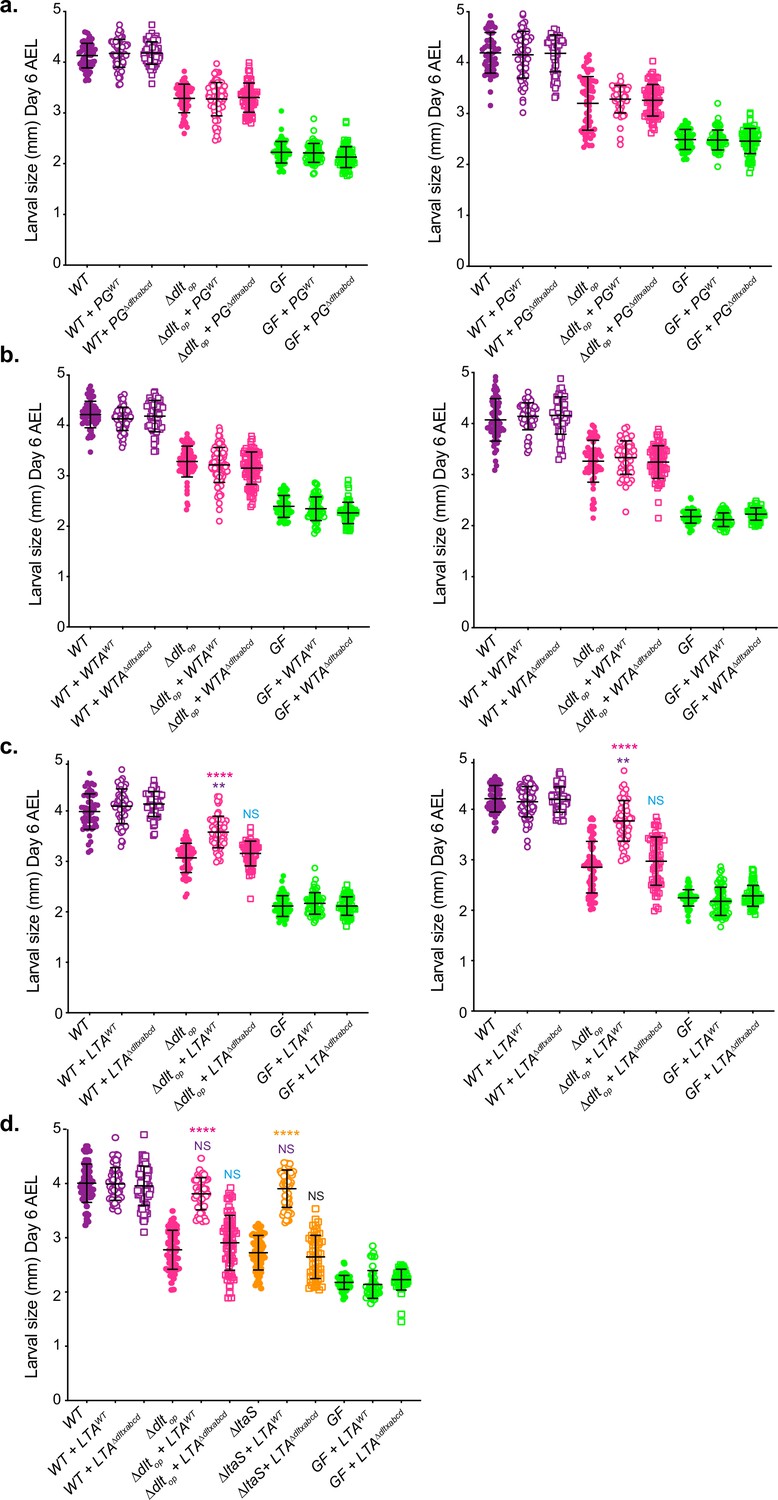 Observed Web Robot Behavior on Decaying Web Subsites