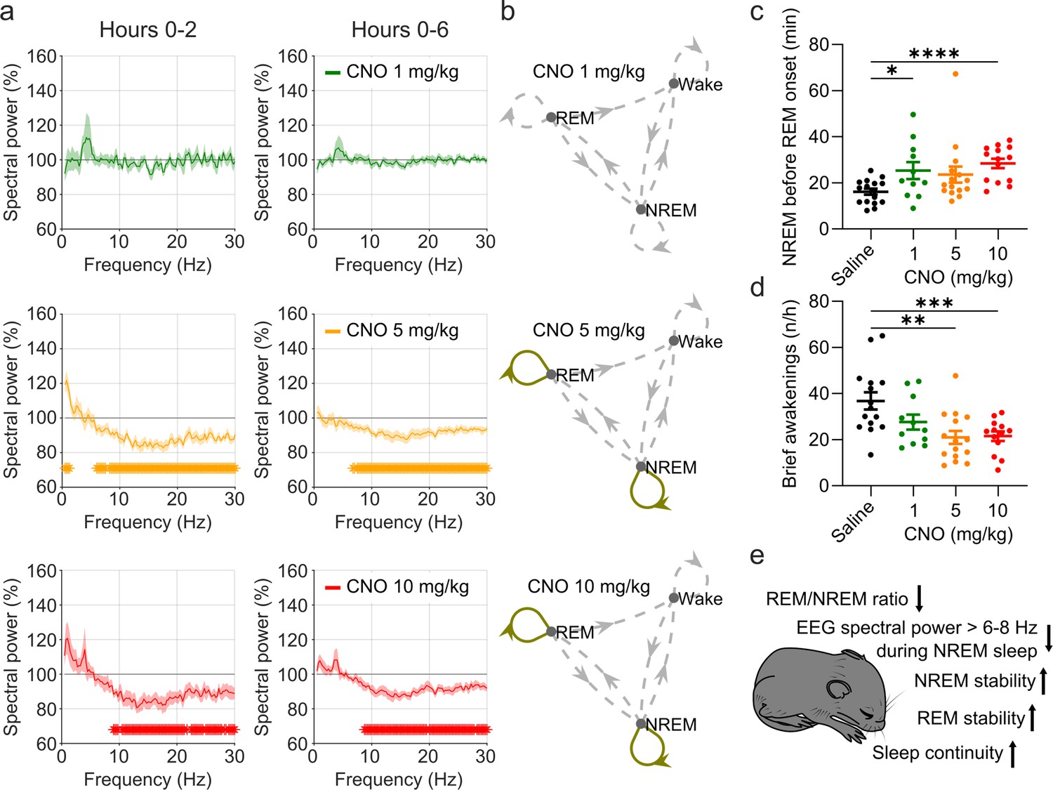 Effects of clozapine N oxide and compound 21 on sleep in