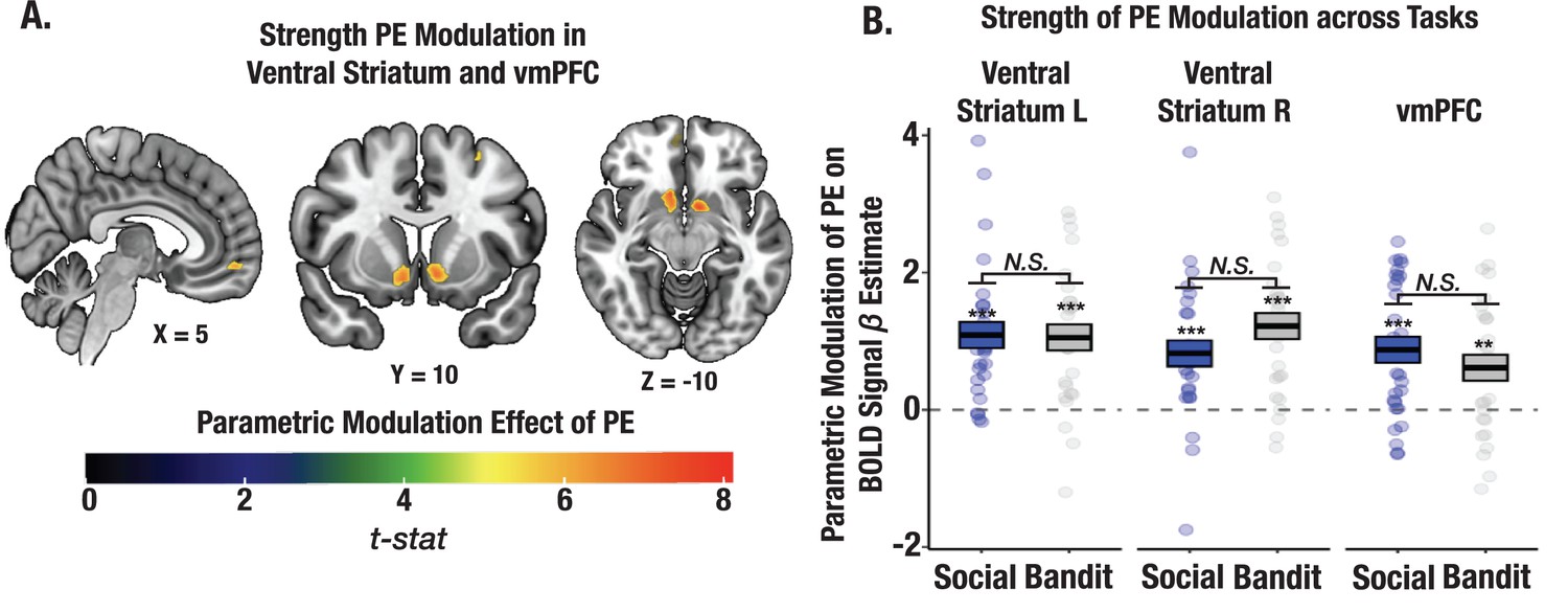 Prefrontal Cortex State Representations Shape Human Credit Assignment Elife 4742