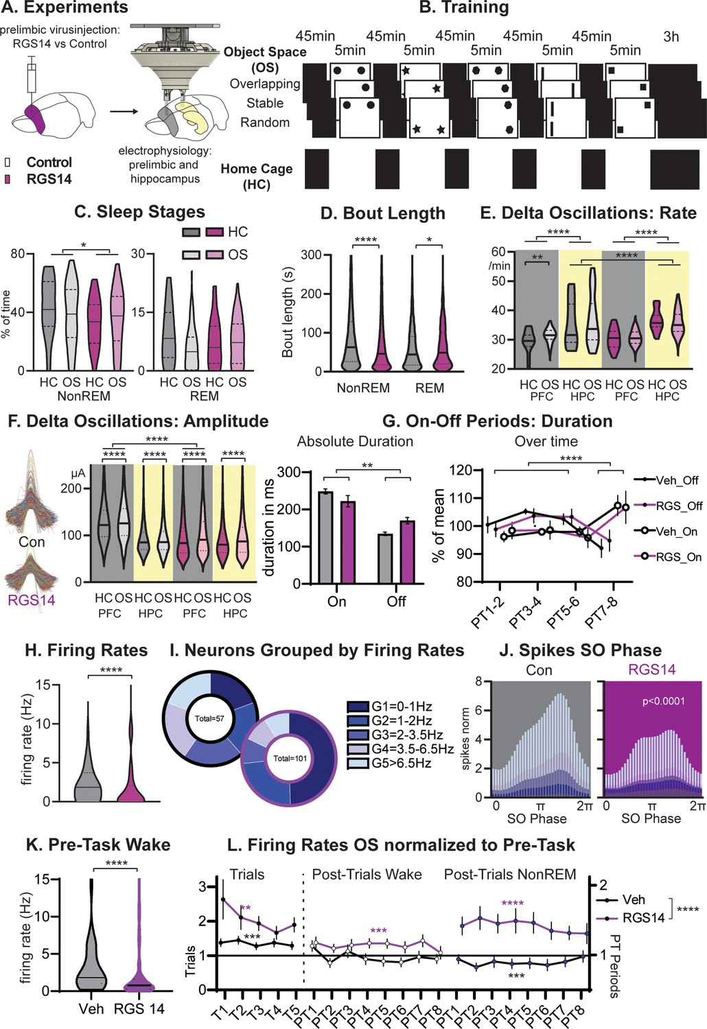 figures-and-data-in-increased-cortical-plasticity-leads-to-memory