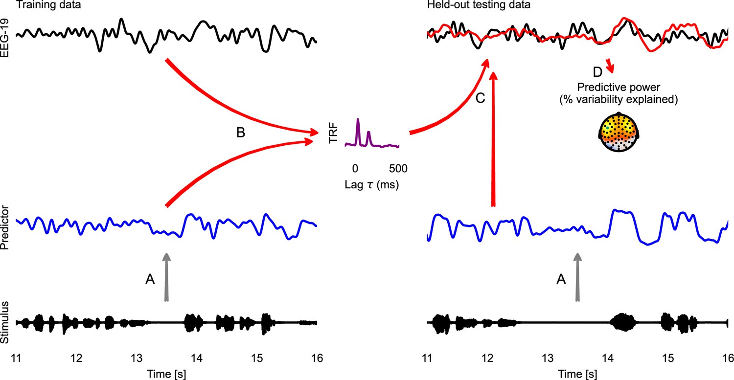 Eelbrain, a Python toolkit for time-continuous analysis with temporal response functions