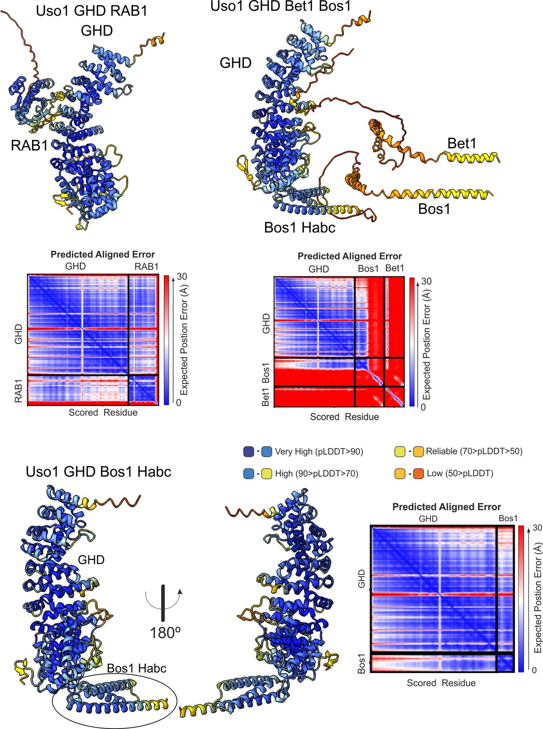 Figures and data in The Uso1 globular head interacts with SNAREs to ...