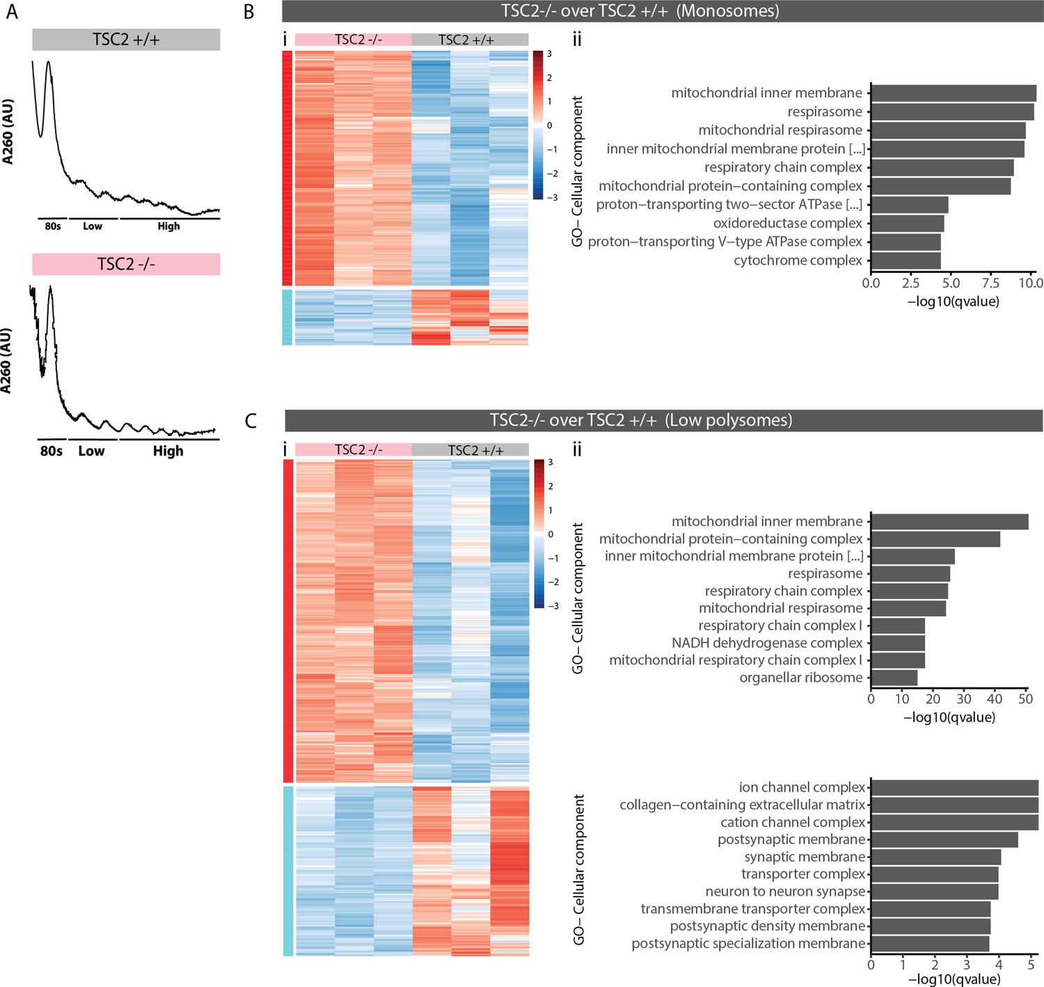 Figures and data in Integrated transcriptome and proteome analysis ...