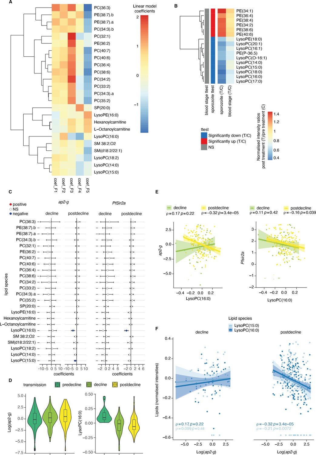 Plasmodium falciparum adapts its investment into replication versus ...