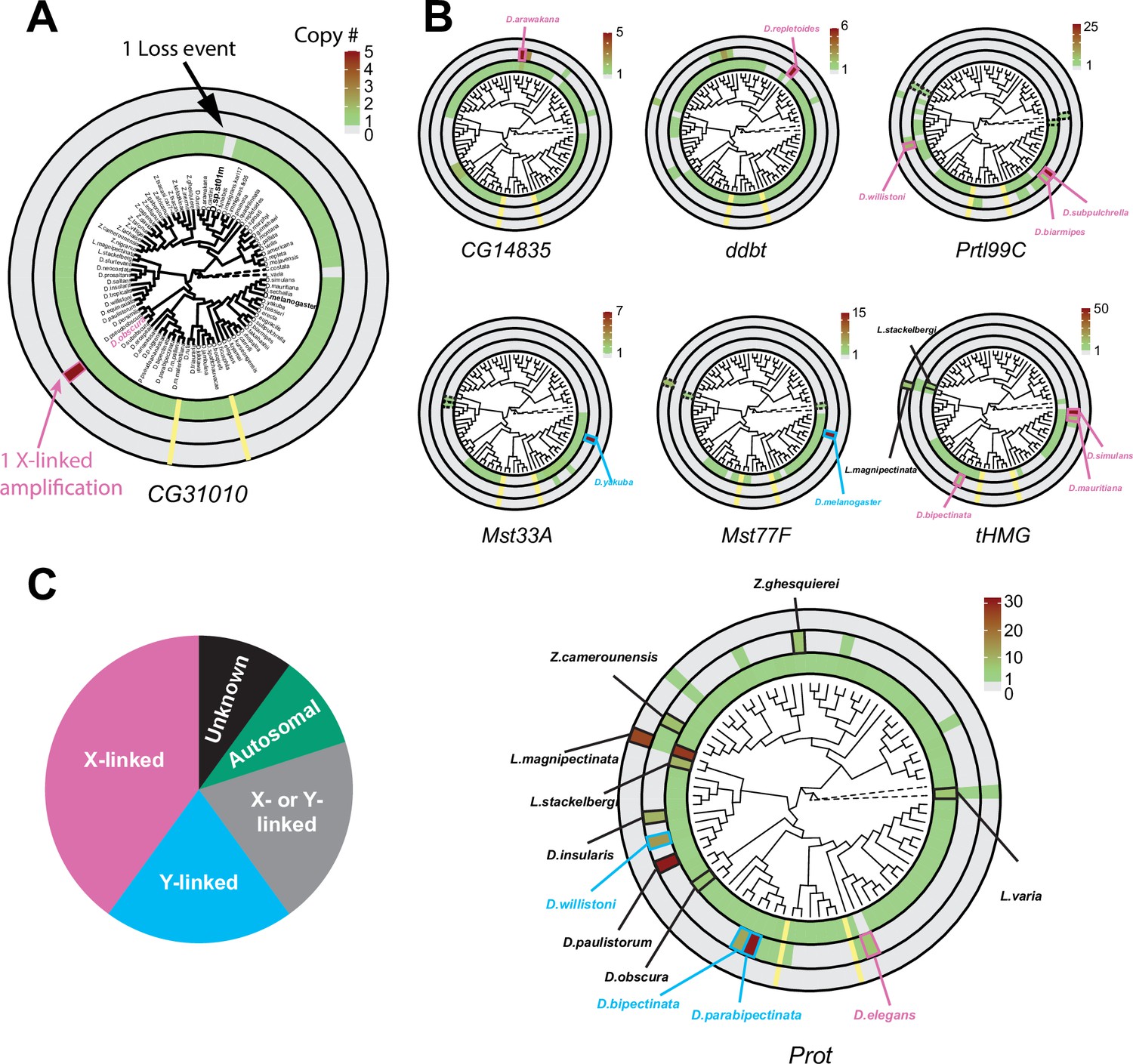 Won for All: How the Drosophila Genome Was Sequenced