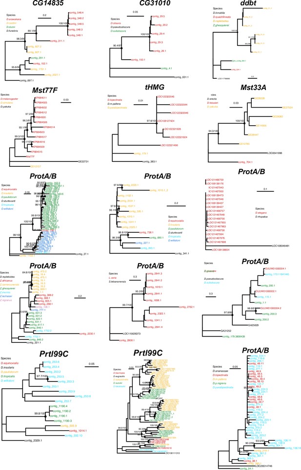 Figures And Data In Expansion And Loss Of Sperm Nuclear Basic Protein Genes In Drosophila