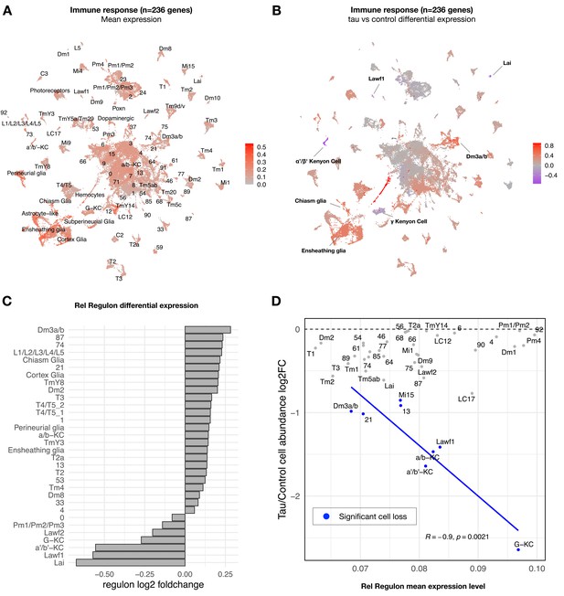 Tau polarizes an aging transcriptional signature to excitatory neurons ...