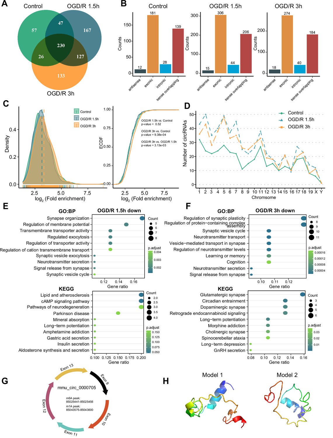 The landscape of m1A modification and its