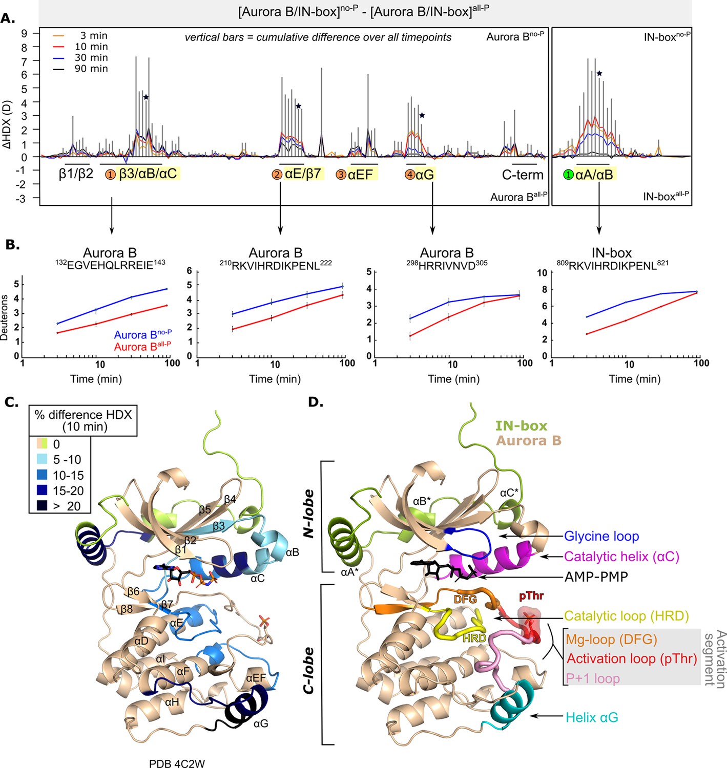 The Structural Basis Of The Multi-step Allosteric Activation Of Aurora ...