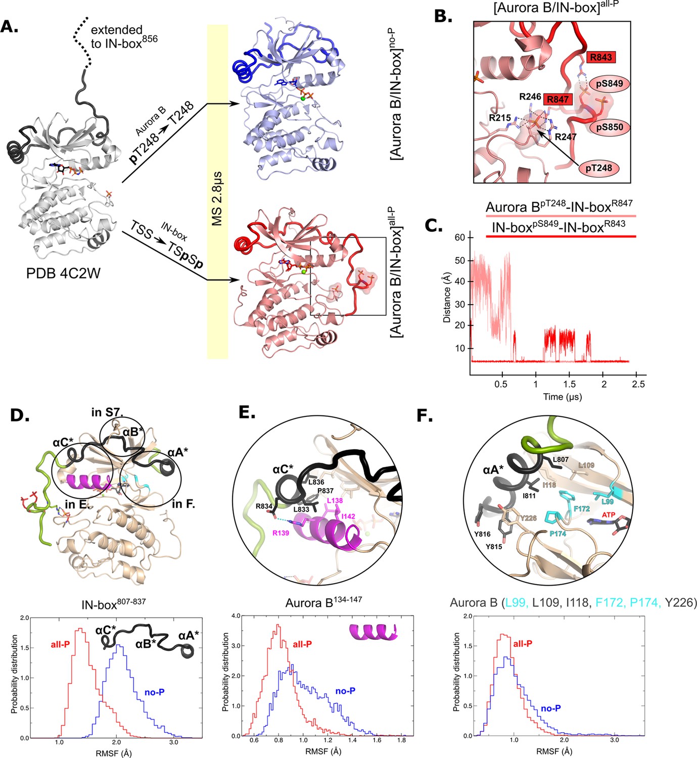 The Structural Basis Of The Multi-step Allosteric Activation Of Aurora ...