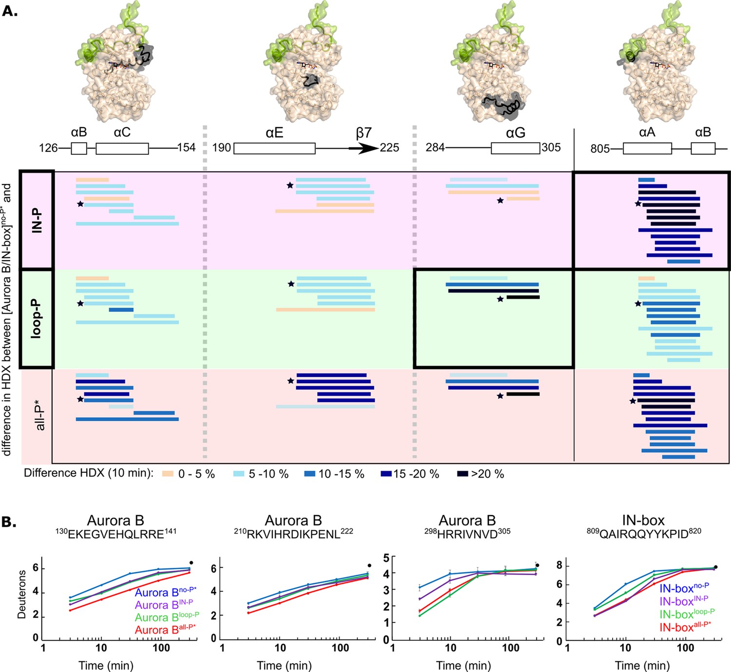 The Structural Basis Of The Multi-step Allosteric Activation Of Aurora ...