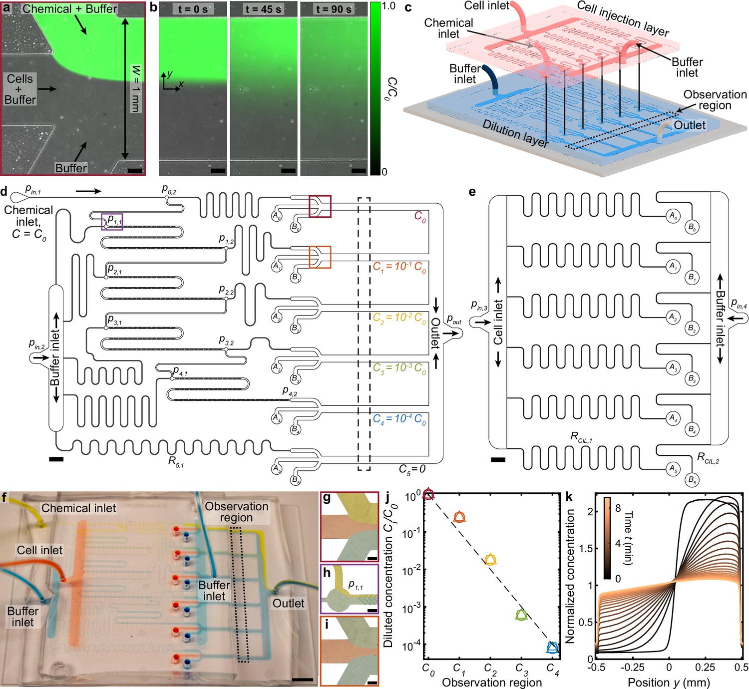 Multiplexed Microfluidic Screening Of Bacterial Chemotaxis | ELife