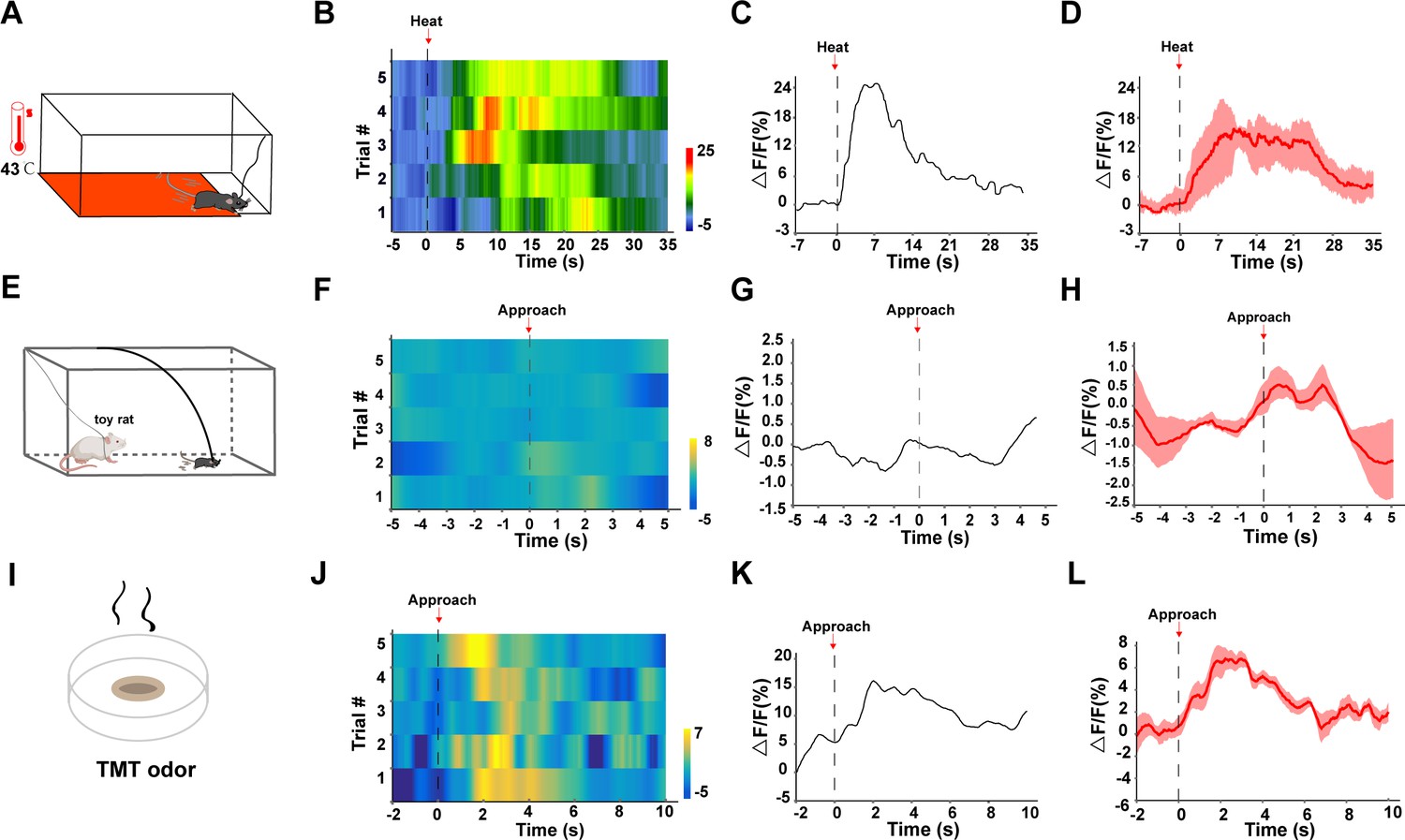 A parabrachial to hypothalamic pathway mediates defensive behavior