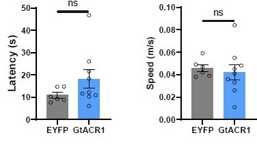 A parabrachial to hypothalamic pathway mediates defensive behavior