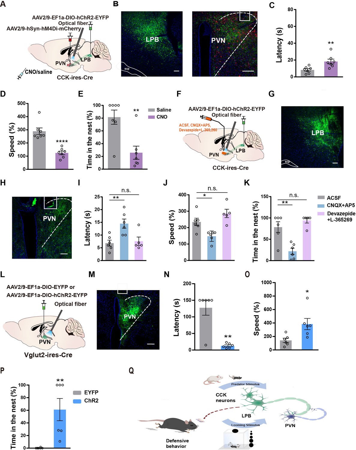 A parabrachial to hypothalamic pathway mediates defensive