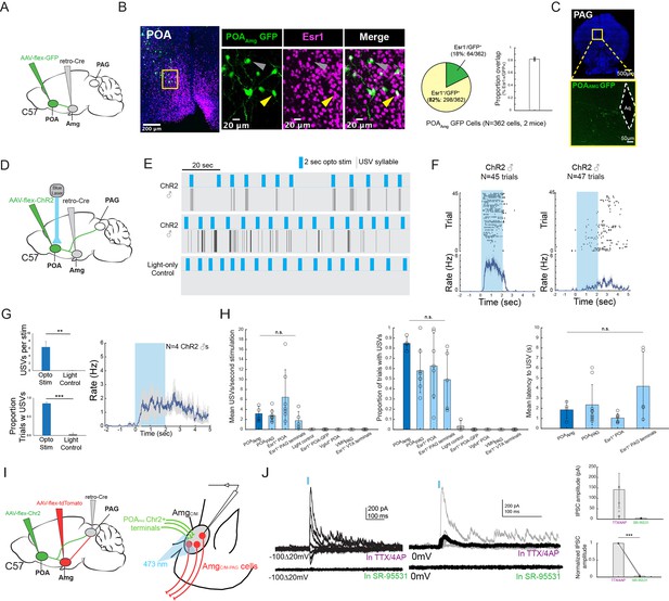 Nested circuits mediate the decision to vocalize | eLife