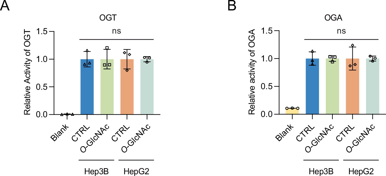 Inhibition of DNMT1 methyltransferase activity via glucose 