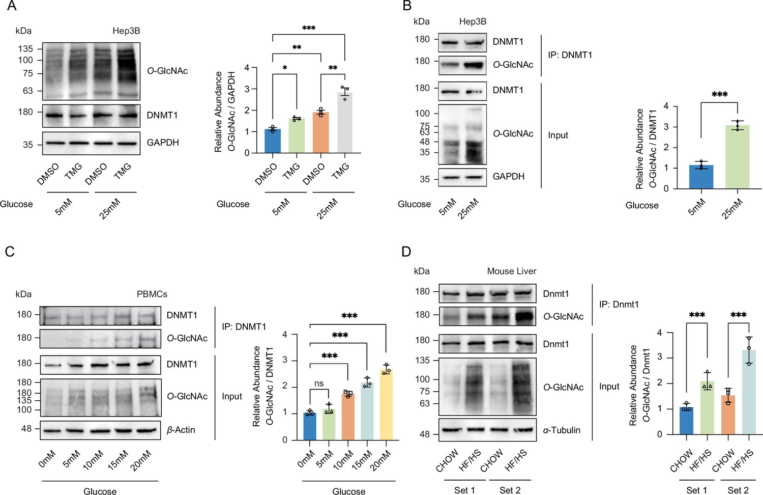 Inhibition of DNMT1 methyltransferase activity via glucose