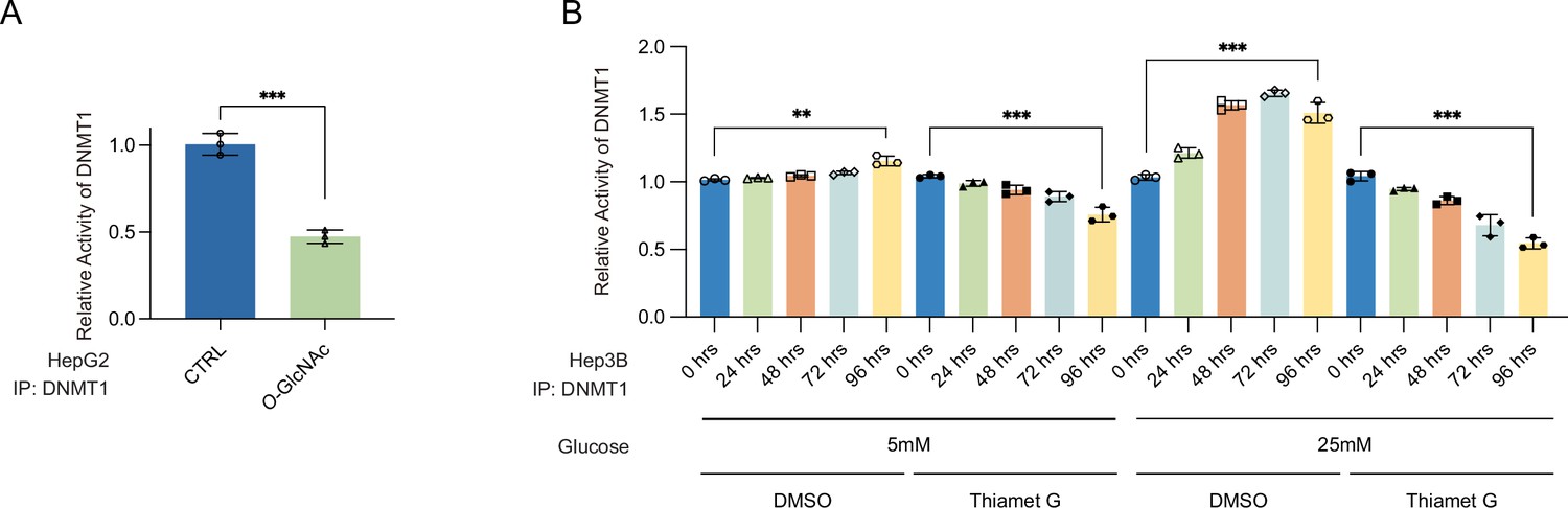 Inhibition of DNMT1 methyltransferase activity via glucose 