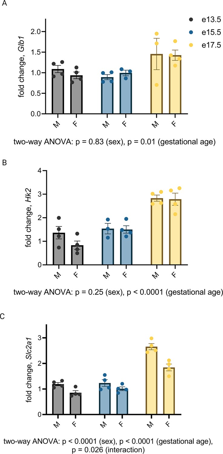 Figures And Data In Hypoxia-inducible Factor 1 Signaling Drives ...