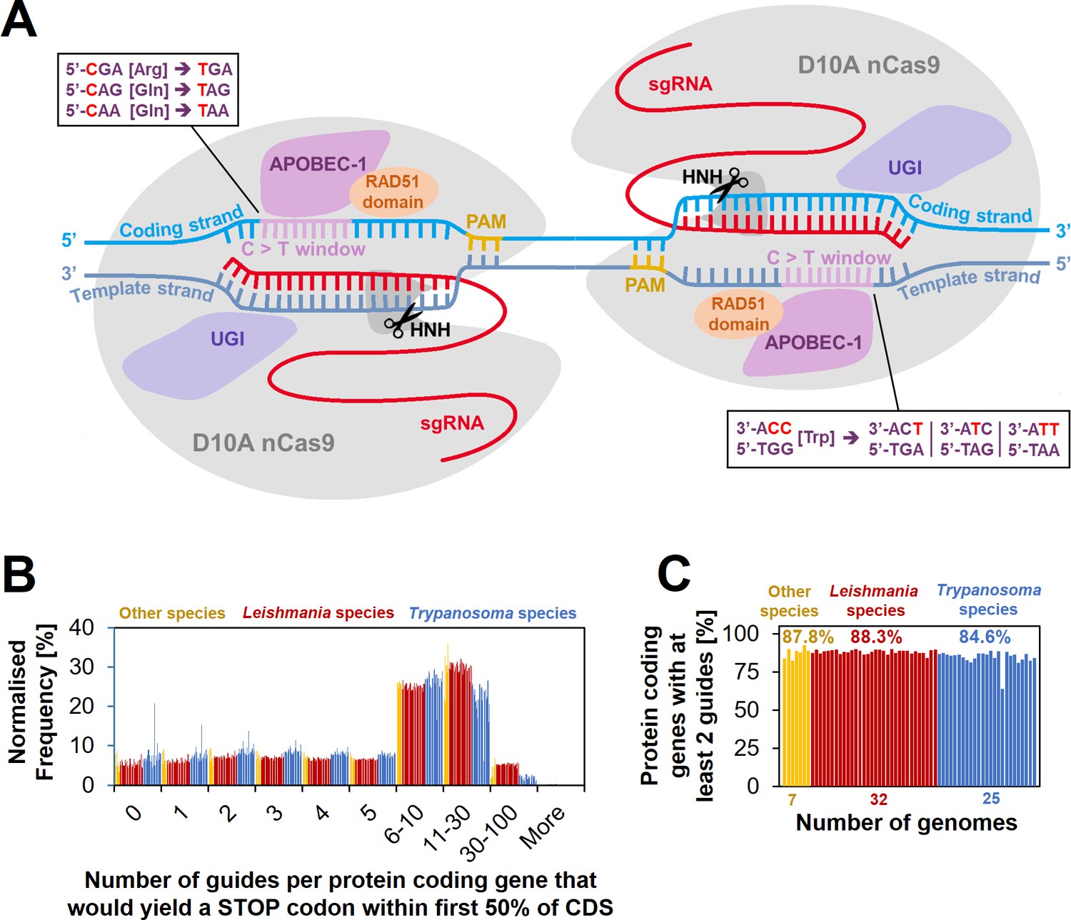 Gene editing and scalable functional genomic screening in