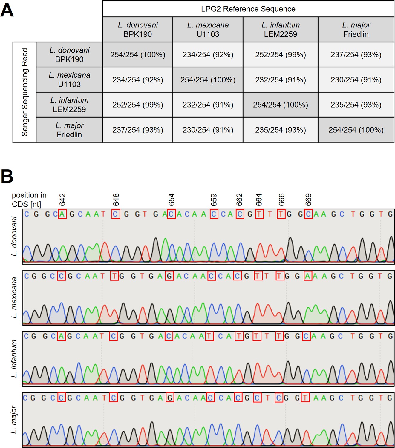 Gene editing and scalable functional genomic screening in