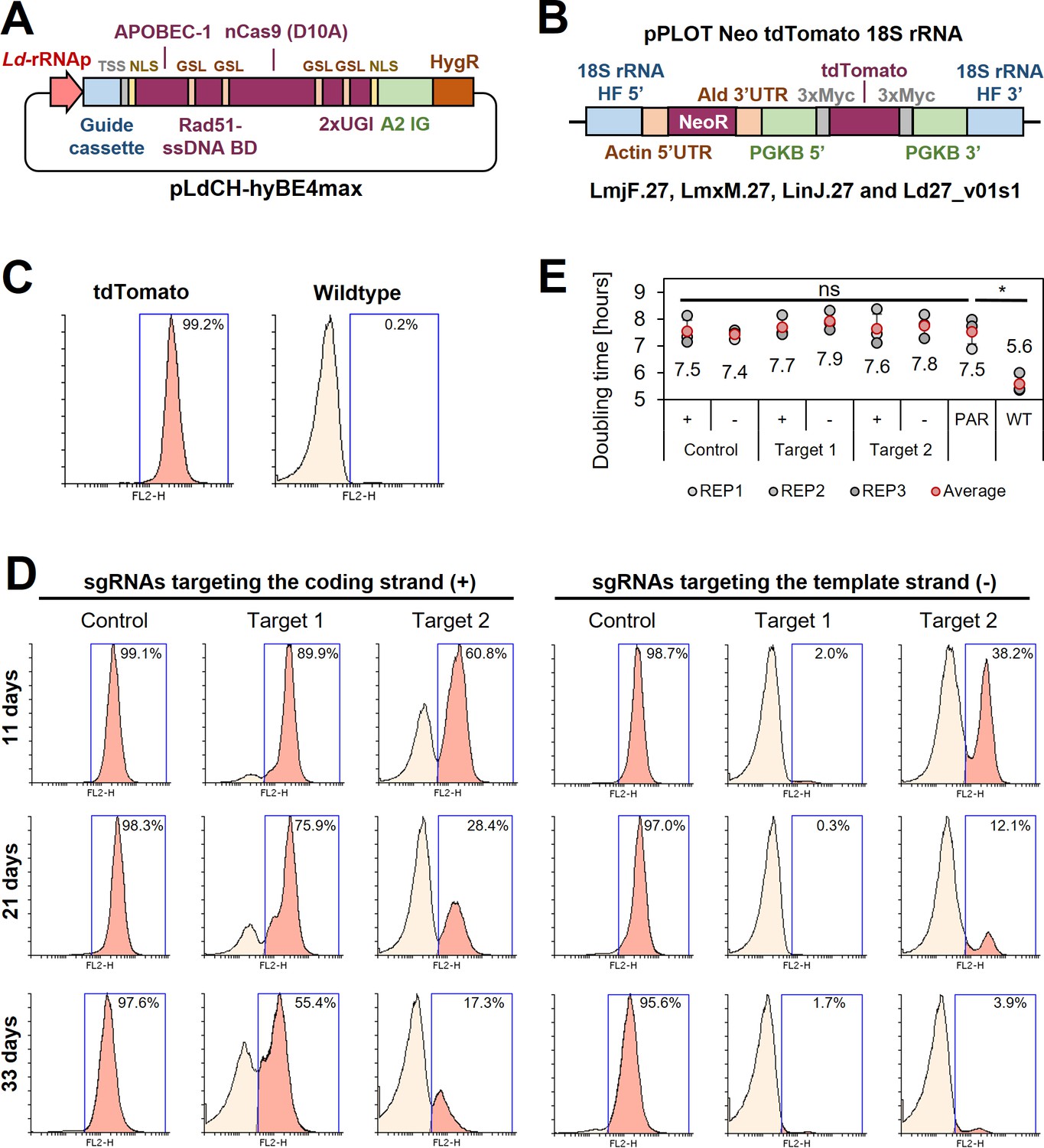 Gene editing and scalable functional genomic screening in