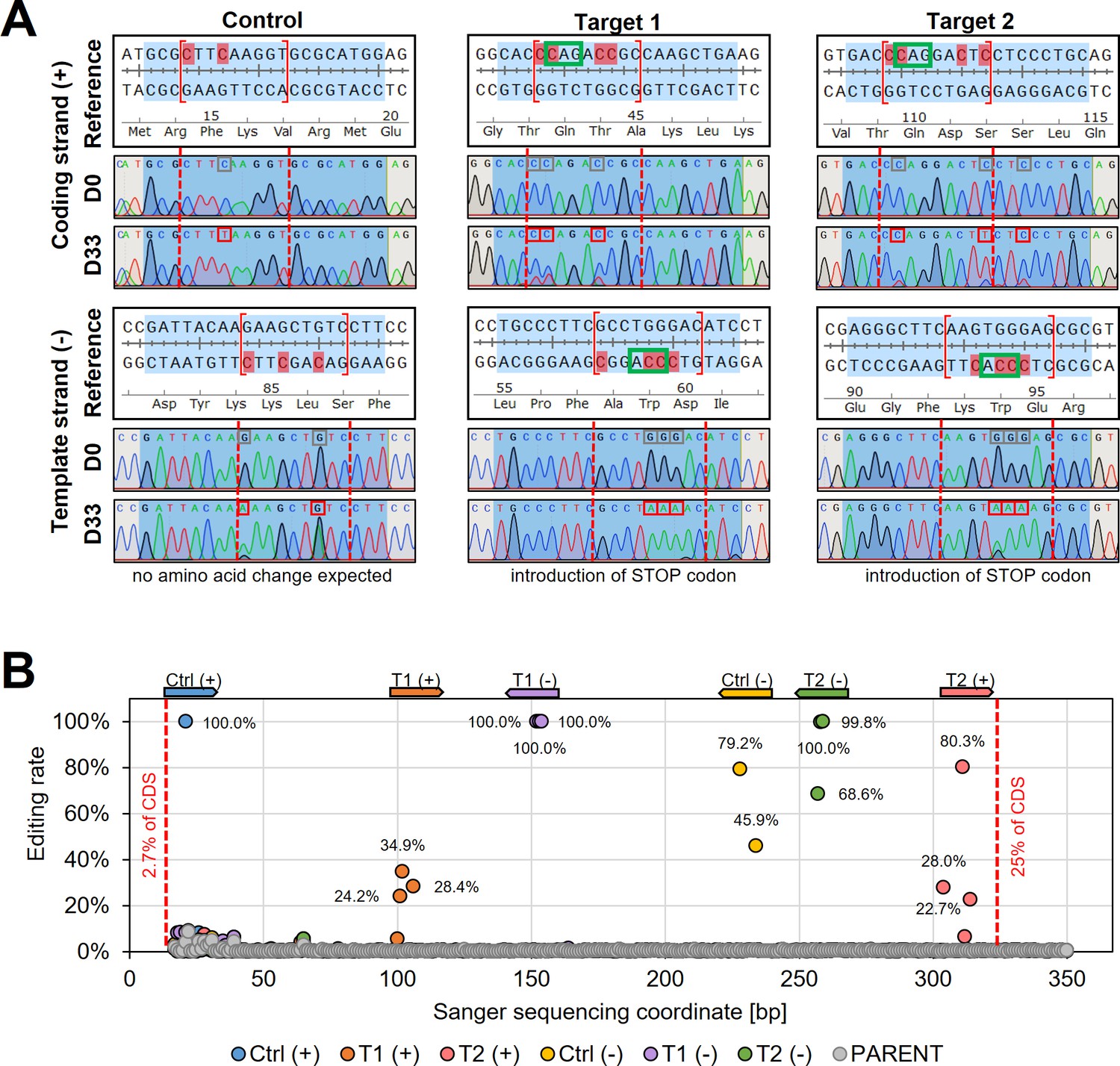 Gene editing and scalable functional genomic screening in