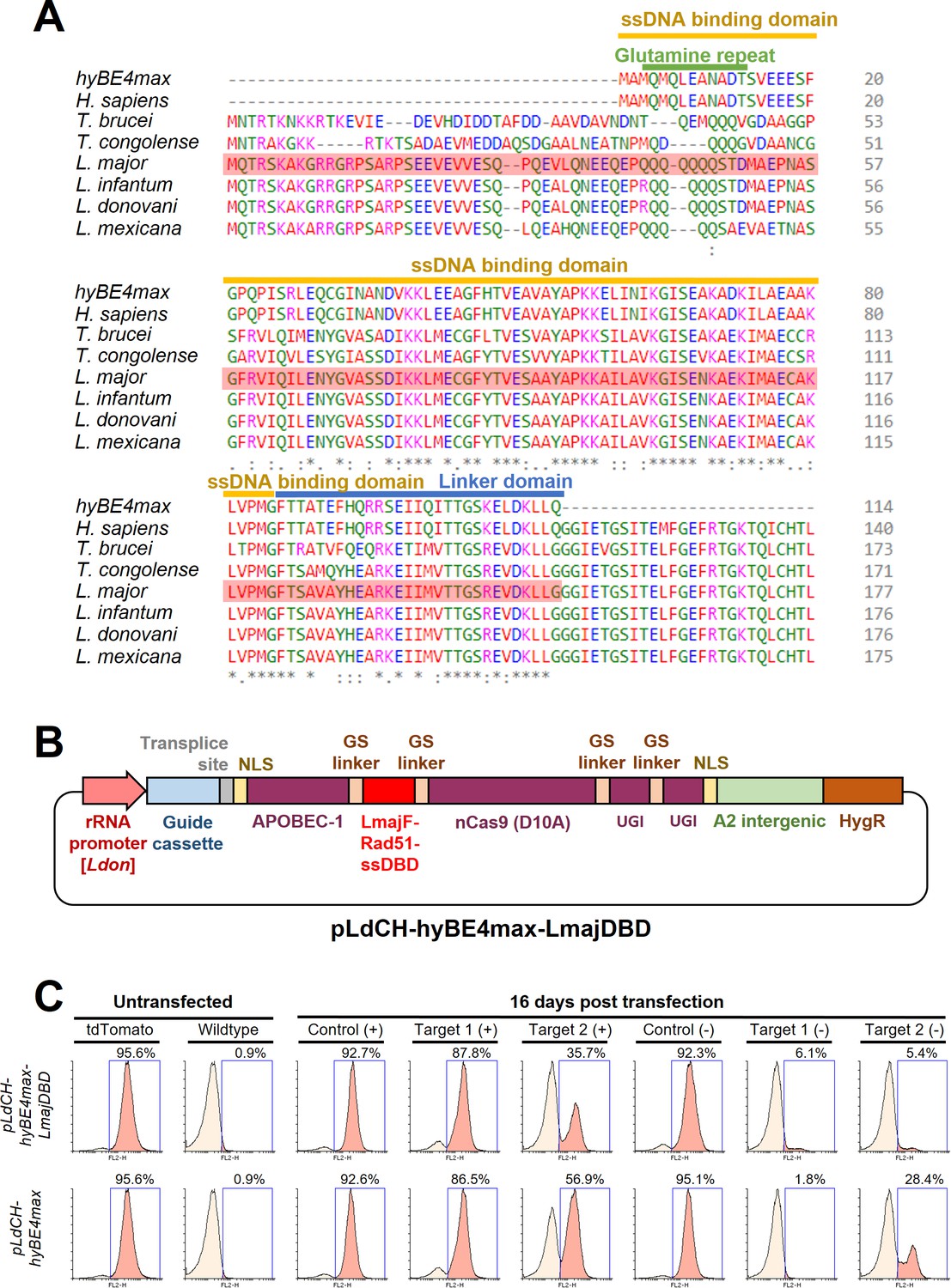 Gene editing and scalable functional genomic screening in