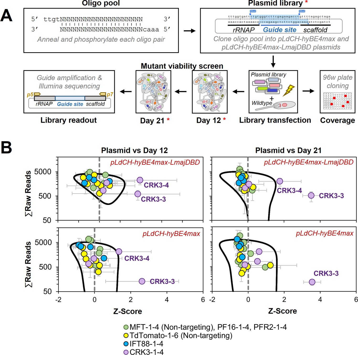 Gene editing and scalable functional genomic screening in