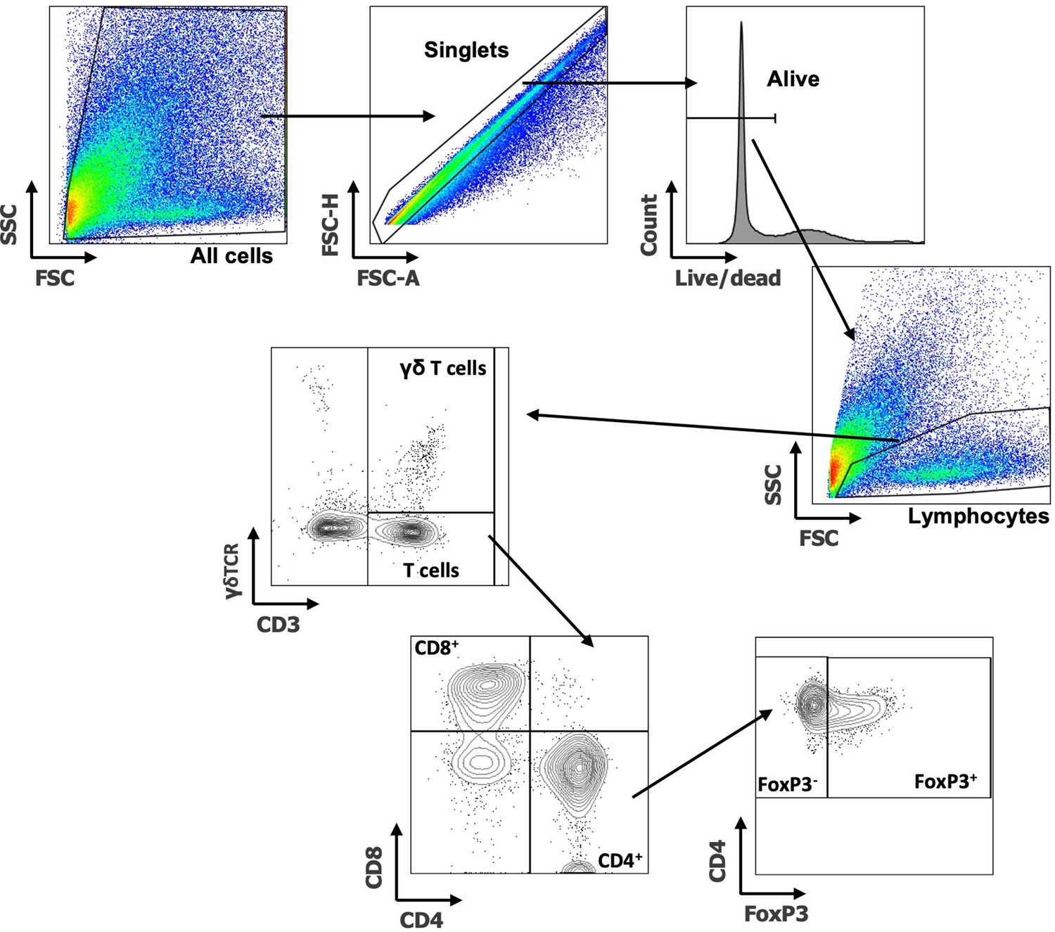 Cd3 antibody biolegend il6