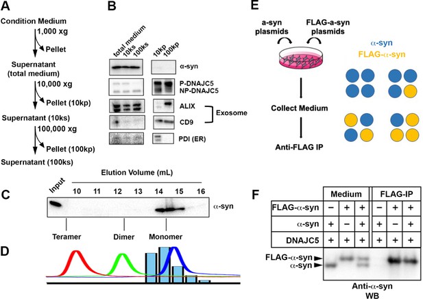 Unconventional Secretion Of α-synuclein Mediated By Palmitoylated ...