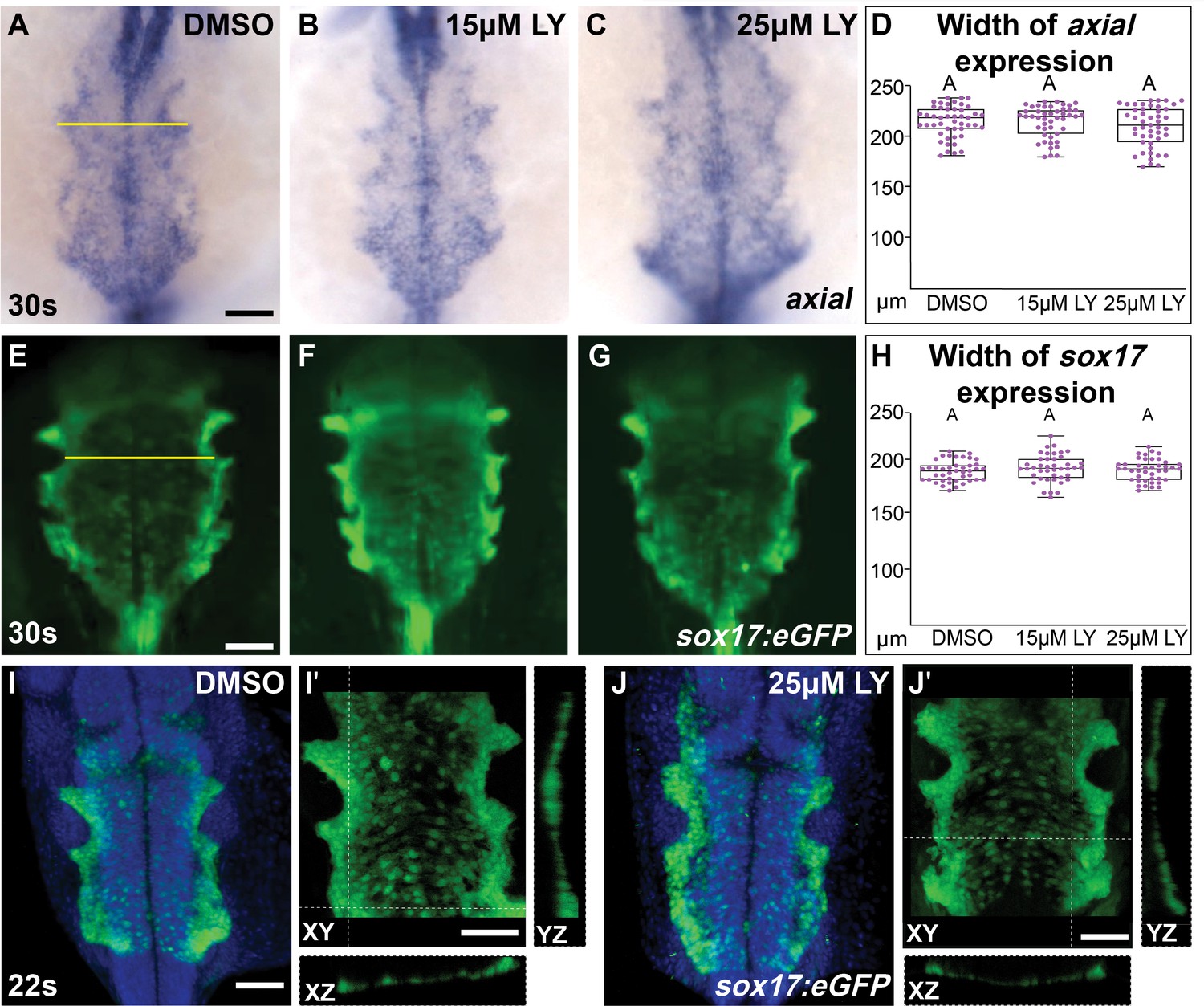 Figures and data in The myocardium utilizes a platelet-derived growth ...