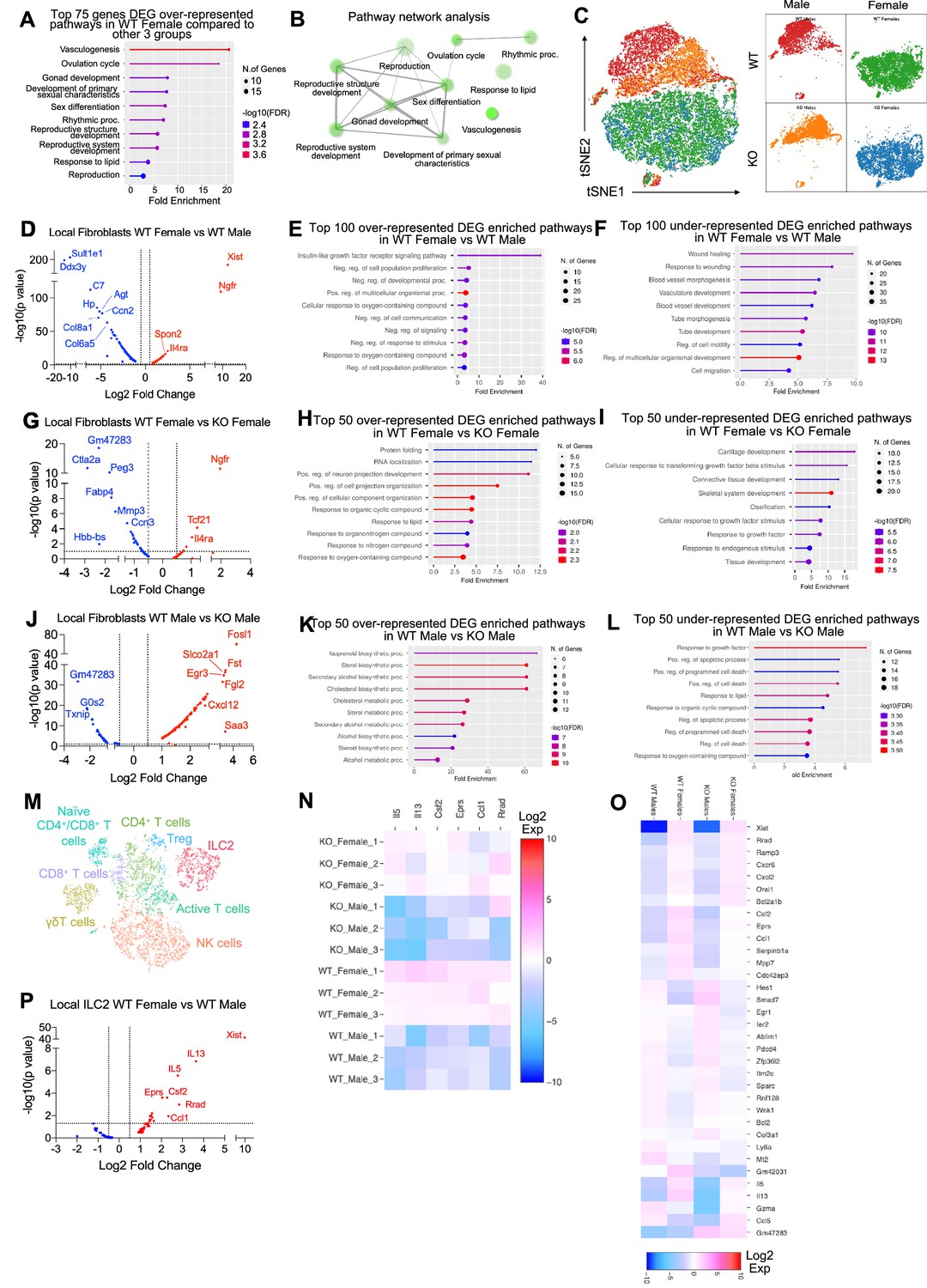 Figures And Data In Sexual Dimorphism In Obesity Is Governed By RELMα ...