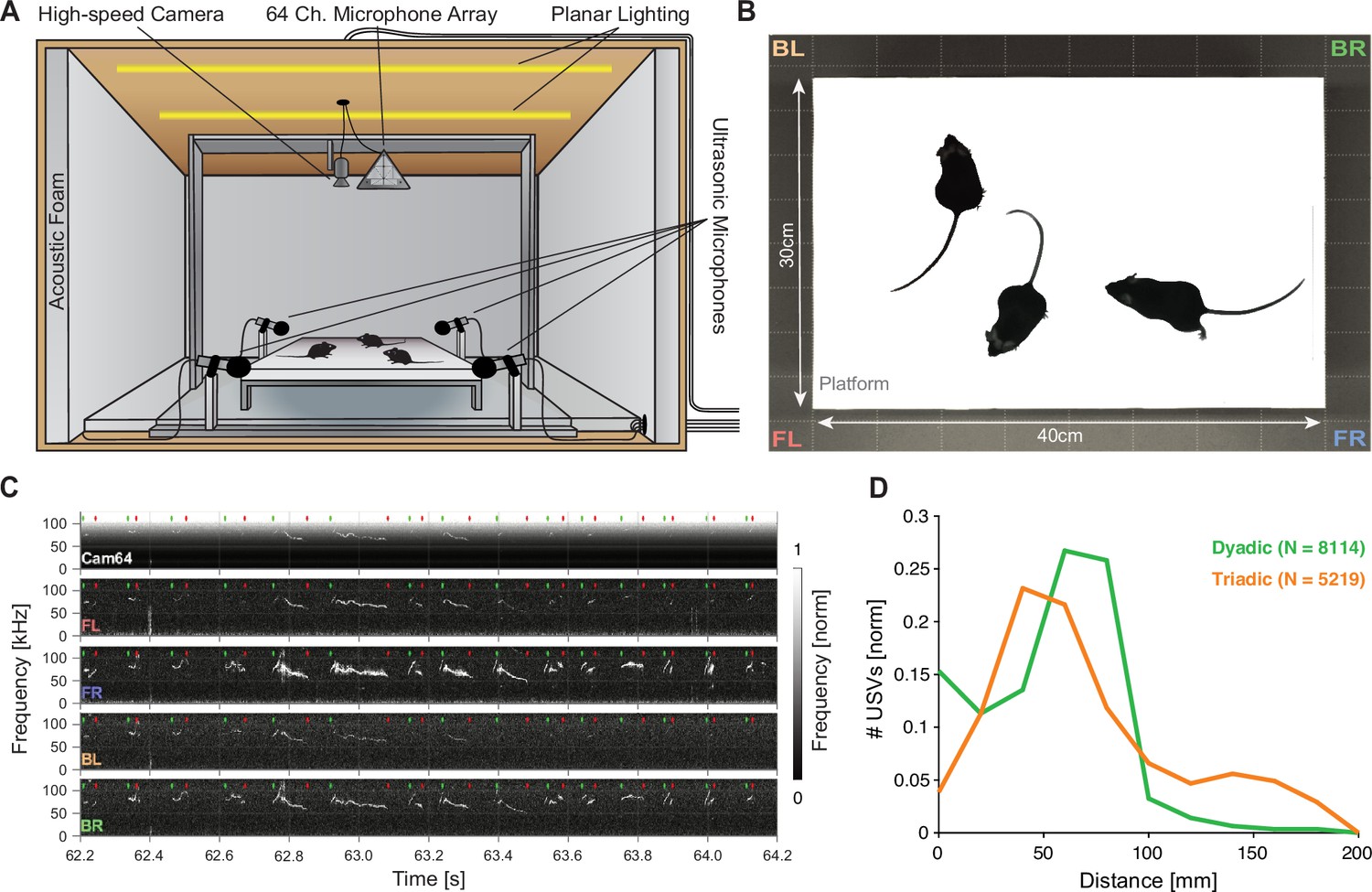 Rodent ultrasonic vocal interaction resolved with millimeter