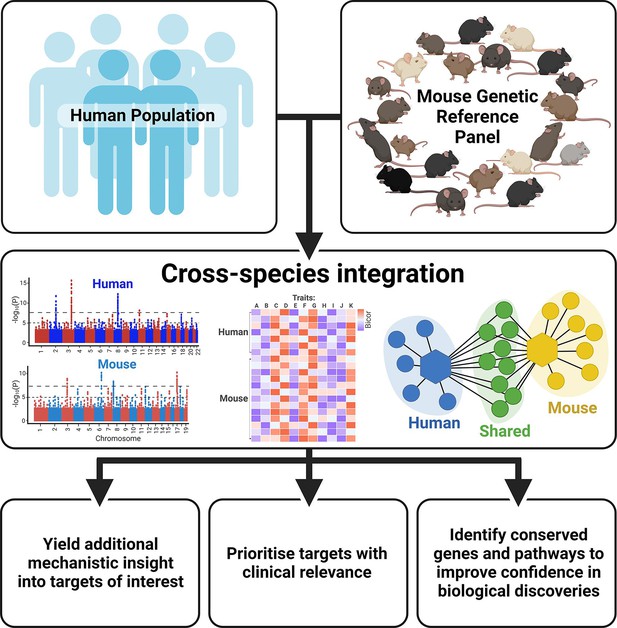 The Potential Of Integrating Human And Mouse Discovery Platforms To