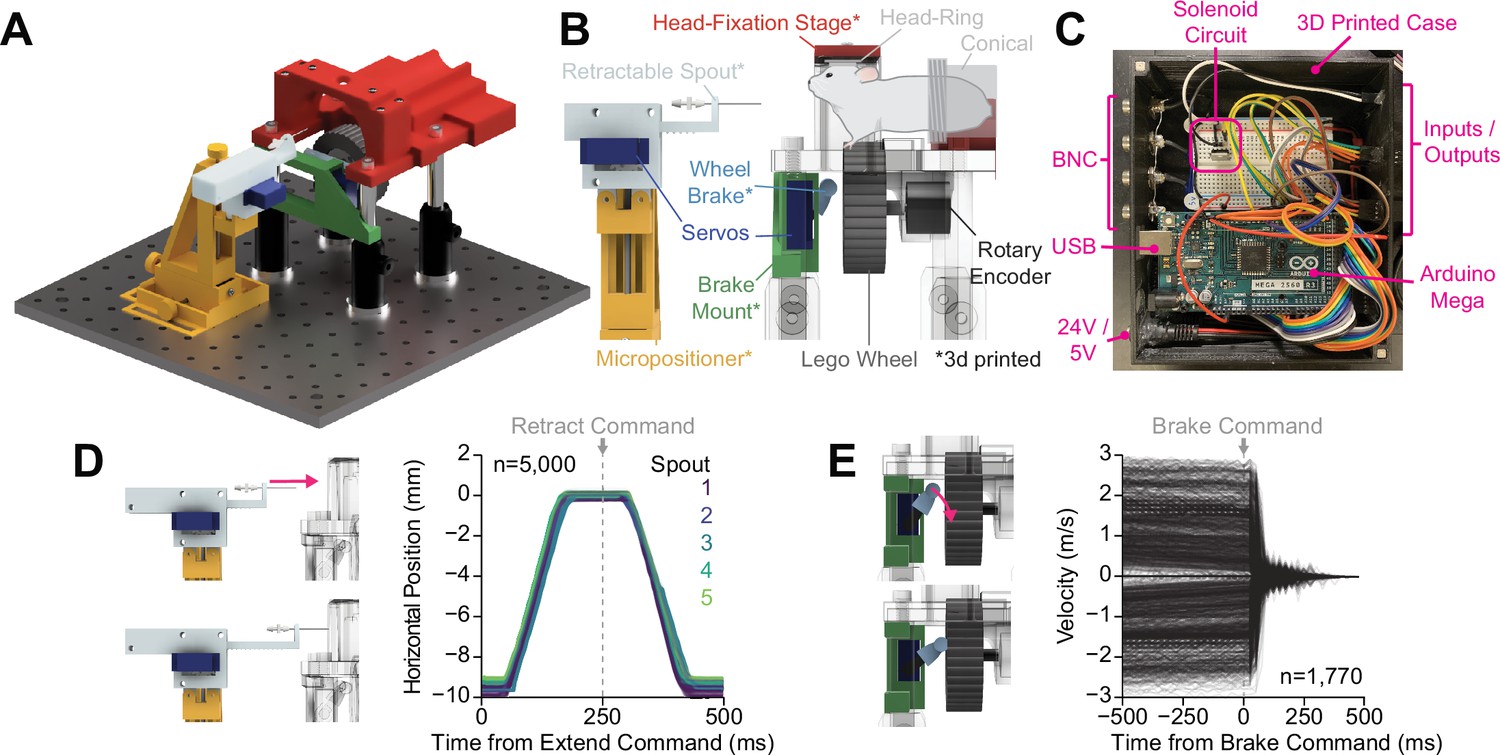 3D pose estimation enables virtual head fixation in freely moving rats -  ScienceDirect