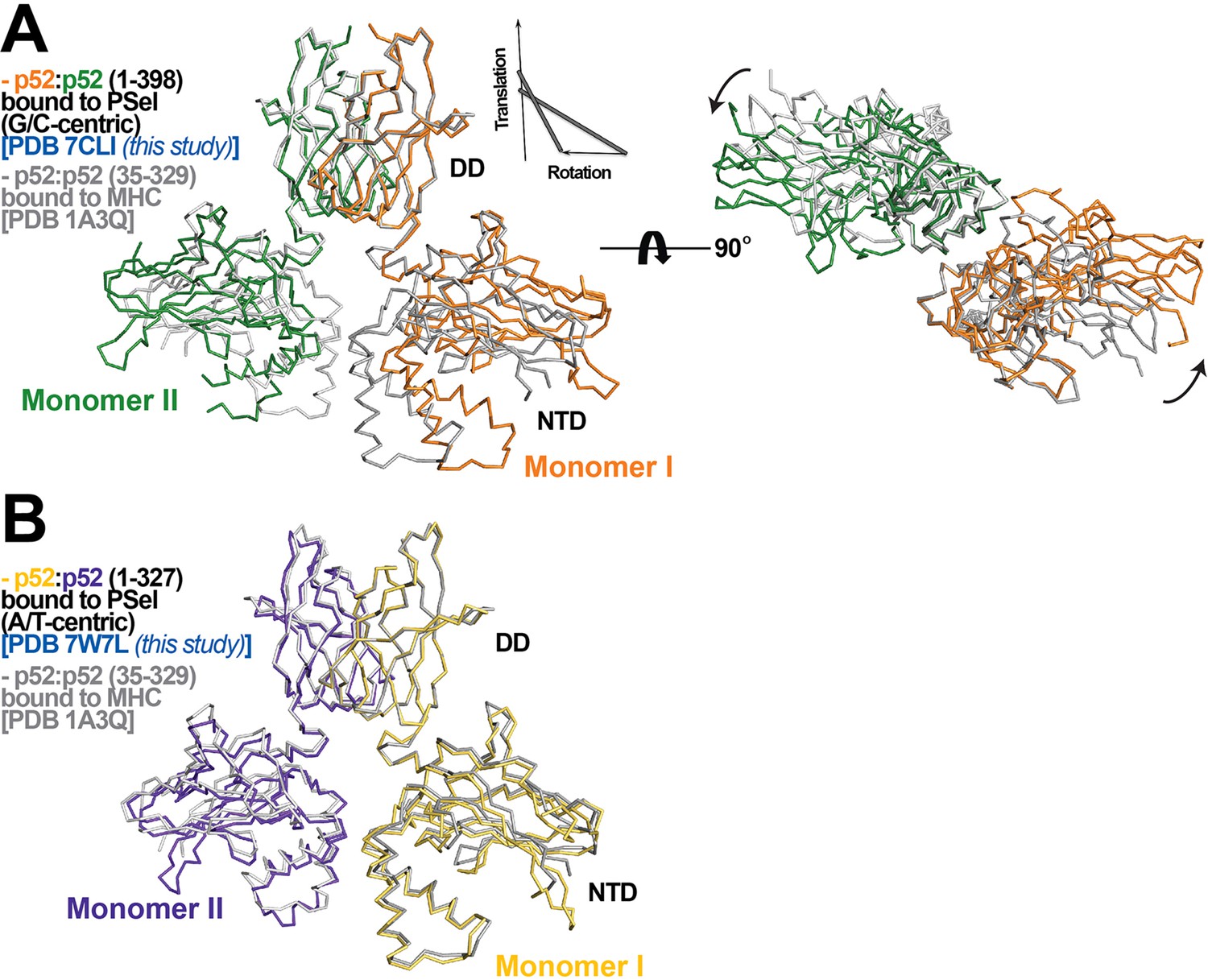 Figures and data in Structures of NF-κB p52 homodimer-DNA complexes ...