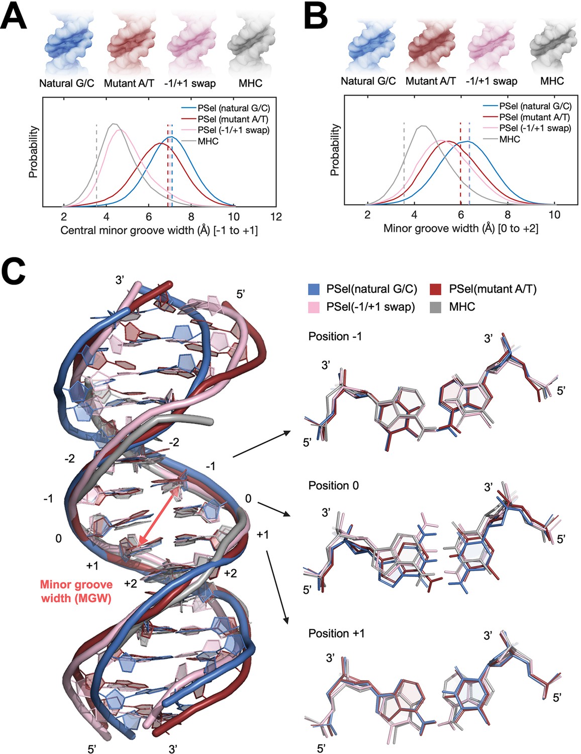 Figures and data in Structures of NF-κB p52 homodimer-DNA complexes ...