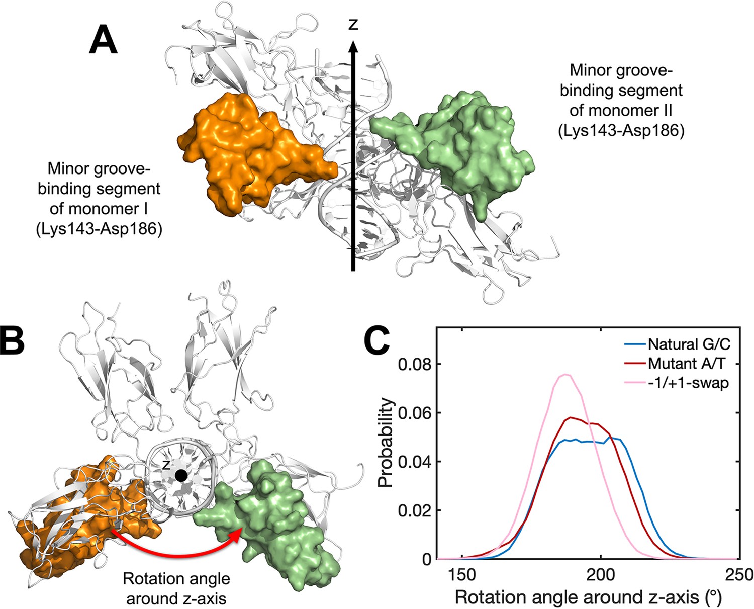 Figures and data in Structures of NF-κB p52 homodimer-DNA complexes ...